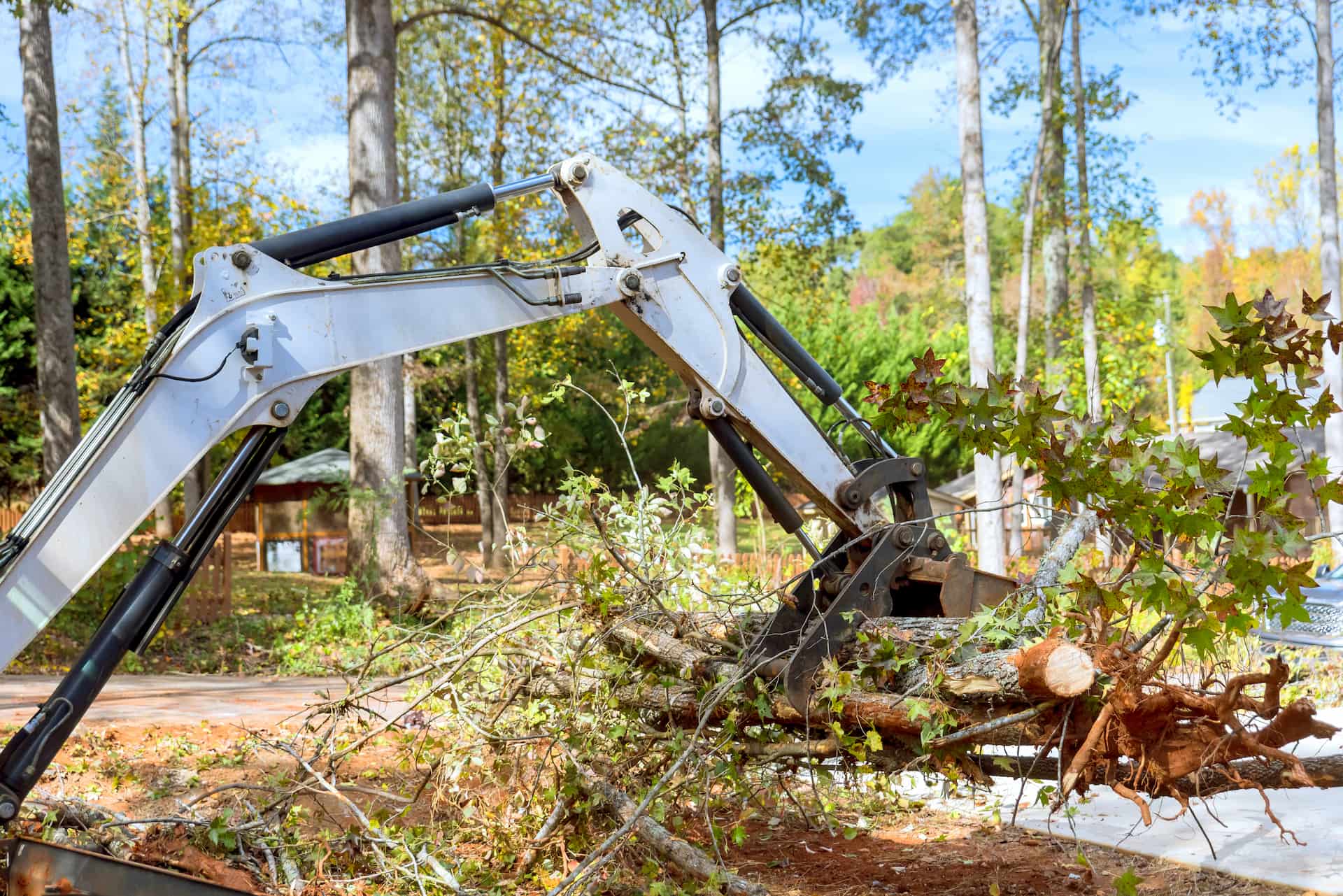 Site clearance company near North London